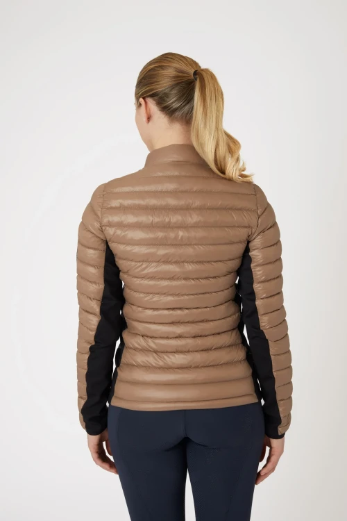 33656_726_04.webp