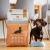 98-800x800.webp