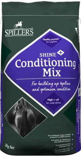 spillers-Shine-Plus-Conditioning-1.webp