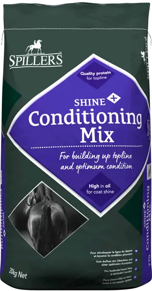 spillers-Shine-Plus-Conditioning-1.webp