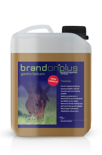 2.5L-brandon-gastro-balsam.png