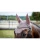 nauszniki-classic-style-schockemohle-ss26-stone (1).webp