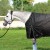pol_pm_Derka-Horsenjoy-Aristo-100-g-145_2.jpg