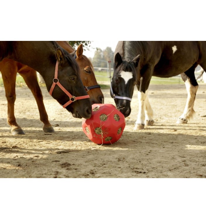 pilka-na-siano-dla-konia-heuboy-40cm (2).jpg