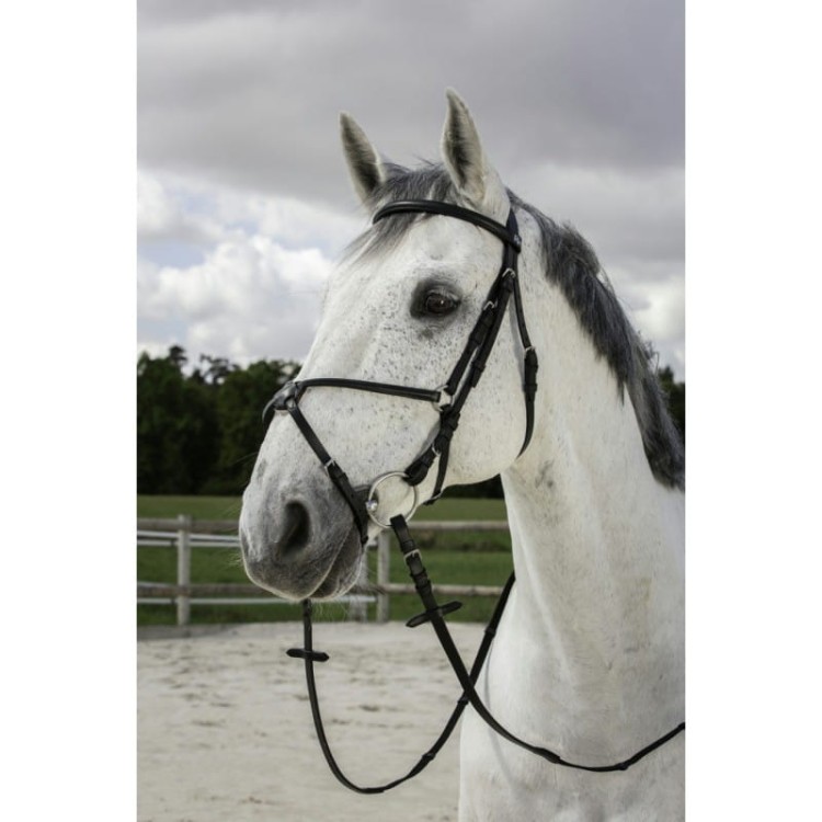 riding-world-muserolle-croisee-bridle.jpg