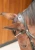 OIP (6).webp