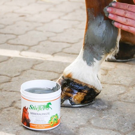pol_pm_Mineralpaste-Stiefel-preparat-z-zielonej-gliny-na-stawy-miesnie-sciegna-i-wiezadla-3629_2.jpg